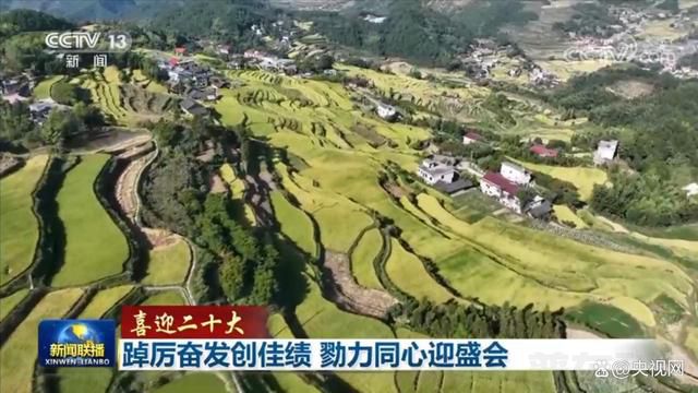 喜迎二十大丨踔厉奋发创佳绩 勠力同心迎盛会(图3)