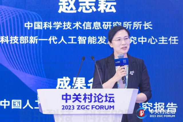 科技部发布中国AI大模型地图，京粤浙沪处于第一梯队(图3)