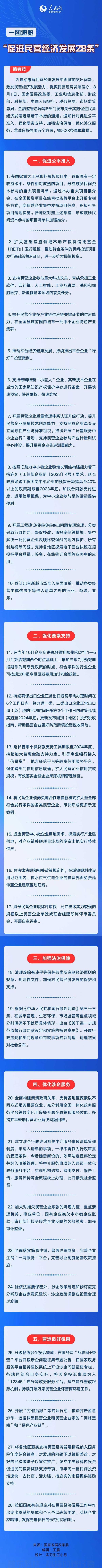 一图速览“促进民营经济发展28条”(图1)