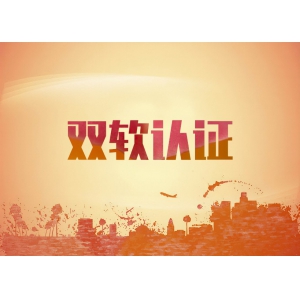 公司通过双软认定