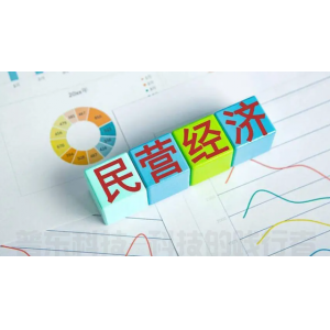 一图速览“促进民营经济发展28条”